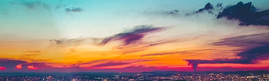 鹤岗茶虫网_鹤岗品茶